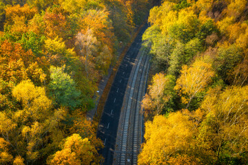 Aerial view of the autumnal forest in Gdansk. Poland - obrazy, fototapety, plakaty