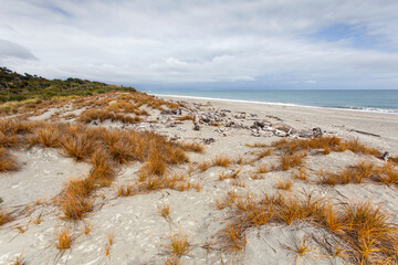 Knight's Point Lookout on the West Coast of South Island New Zealand. A tourist stop on a road trip to Fox and Franz Josef Glaciers along highway route 6.