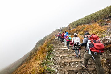 日本　ガスってる栗駒山草紅葉の山頂付近の登山道