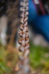 Close up chain on green grass background