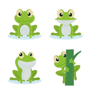 Set of frogs cartoon characters on white background 