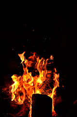 Natural fire flames in nature while camping. Vertical photo.