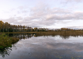 Fototapeta premium autumn landscape with a beautiful lake, colorful trees on the shore of the lake in autumn colors, reeds in the foreground, autumn