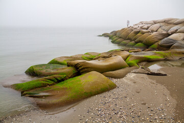 coastal erosion valleys of Comacchio adriatic sea po delta regional park