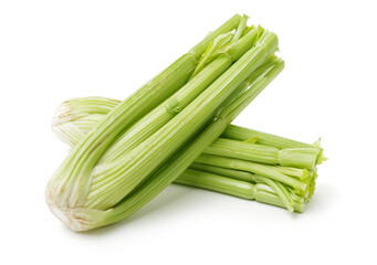 celery on a white background 