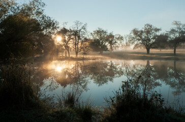 Sunbeams and reflections on a foggy dawn