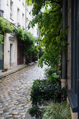 view of typical cobblestone alley with green vegetation in Paris