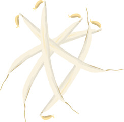 シンプルなもやしのイラスト