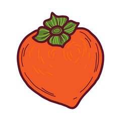 Vector doodle Persimmon. Hand drawn persimmon fruit illustration isolated on white background. Food icon
