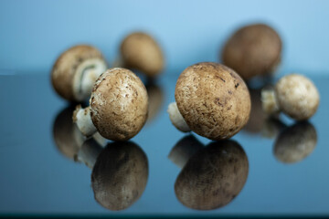 Fototapeta na wymiar mushrooms on a blue background