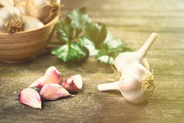Fresh ripe garlic cloves and bulbs and celery leaves in bowl on old wooden table. Healthy organic food, vitamins, BIO viands, natural background. Copy space for your advertising text message