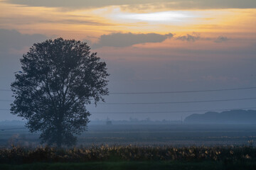 sunset valleys of Comacchio adriatic sea po delta regional park