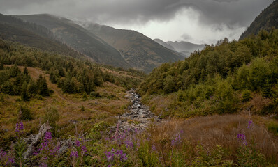 Obraz premium Valley