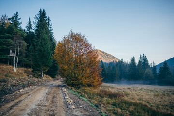 A train traveling down a dirt road