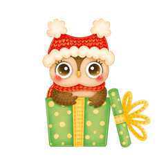 Illustration of cute cartoon christmas owl in red hat and scarf in a green gift box isolated on white background