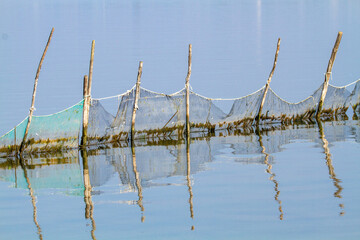 po delta regional park comacchio iitaly