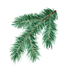 Green fluffy spruce, pine, fir branch accessory symbol of Christmas. Festive decoration of pine, spruce, fir. Isolated over white background. Drawn by hand.