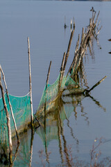 po delta regional park comacchio iitaly