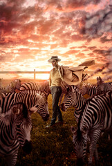 Beautiful man with zebras safari