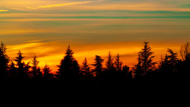 Sky, Blue, Dusk, Forest