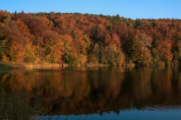 schöner Waldsee in prächtigen Herbstfarben