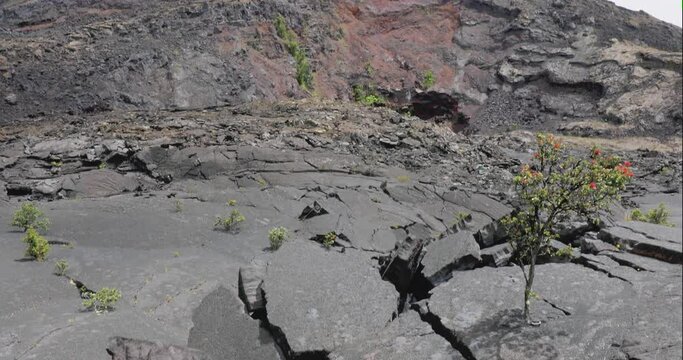4k bottom to top tilting motion view of inside the Kilauea Iki crater where once the molten lava shot into the air at around 200 feet many years ago, Kīlauea,Volcanoes National Park,big island,hawaii,