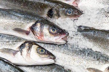 Fresh sea bass on ice in a supermarket. Raw fish. Close-up