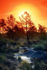 Apremont gorges in Fontainebleau forest