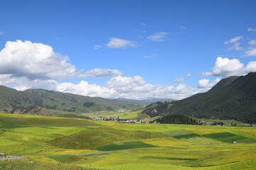 Fototapeta na wymiar Sunny green and yellow valley with mountain backdrop, blue skies with clouds, autumn time, Qilian, Qinghai, China