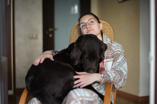 A Girl In A Rocking Chair Sits With A Big Dog On Her Lap. A Brown Labrador Kneeling At His Mistress. Big Dog And Fragile Girl