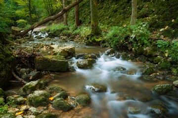 Naklejka na ściany i meble Flowing stream in autumn forest