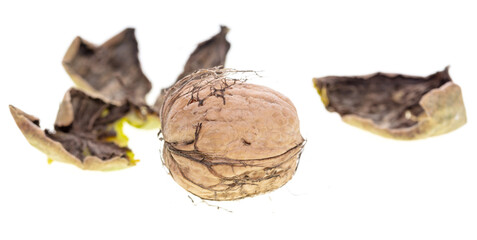 Fresh walnut in the shell isolated on a white