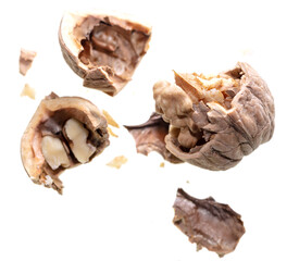 The kernel of a split walnut is isolated on a white