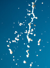 Splashes of white milk isolated on a blue background.