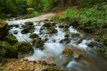 Obraz premium Flowing stream in autumn forest