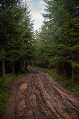 Forest road in mountains covered in red mud after rain