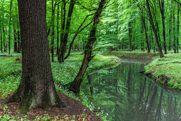 Beautiful view of the Lezczok Nature Reserve