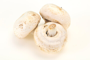 Raw Champignon heap for cooking