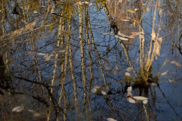 Autumn fishing on the pond, reflection in the water.