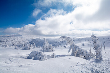 beautiful winter landscape in Giant mountains in Poland