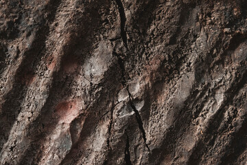 Old brown wooden texture with cracks and scratches as a background image. Copy, empty space for text