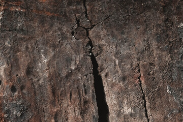 Old brown wooden texture with cracks and scratches as a background image. Copy, empty space for text