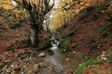 Castilla y León. León. Argovejo. Paleta de COLORES.