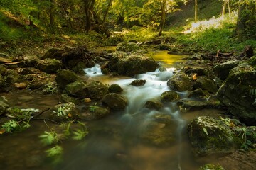 Naklejka na ściany i meble Flowing stream in autumn forest
