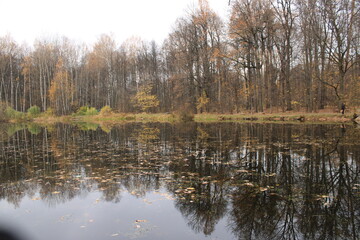 Cloudy day in late autumn