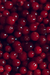 texture cranberries red berries fresh northern vitamins abstract background
