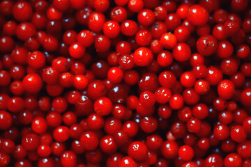 texture cranberries red berries fresh northern vitamins abstract background