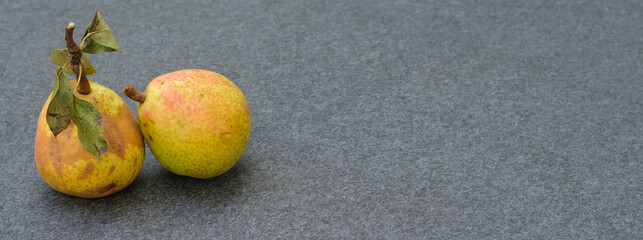 Zwei frisch geerntete Birnen auf einer grauen Steinplatte