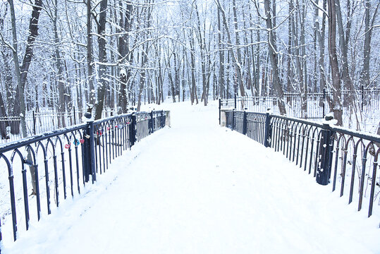 Perspective of black metall bridge fence in the old manor park with love locks and trees alley on the background in snowy winter day. Hanging locking padlocks bridge 