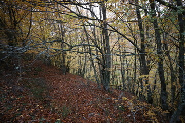 Obraz premium Castilla y León. León. Argovejo. Paleta de COLORES.